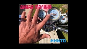 Никто. Дикая малина. Едем за пивом.