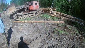 Валка леса в одного!