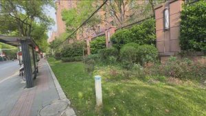 КАКАЯ КРАСИВАЯ ВЕСНА В КИТАЕ НАСЛАЖДЕНИЕ ПРИРОДОЙ ПУТЕШЕСТВИЯ И ВЗГЛЯД ИЗНУТРИ #китай #путешествия