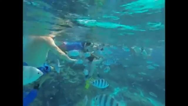 Bora Bora Romantic Tours смотреть онлайн