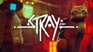 Я вернулся играем в Stray