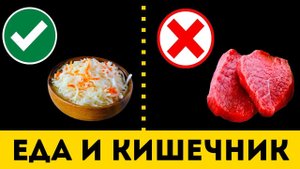 Кишечник: Самые Вредные и Полезные Продукты (Рейтинг)
