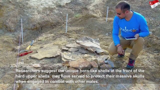 Largest turtle that ever lived had 3m shell with horns to fight смотреть онлайн