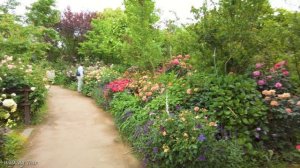 Rose Festival “Yokohama English Garden” Japan walk with relaxation music｜for sleep and relax｜4K