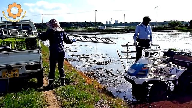 Как выращивают рис в Японии смотреть онлайн