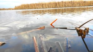 САДКИ ЛОМЯТСЯ ОТ РЫБЫ - КАРАСИ МОНСТРЫ, САЗАНЫ!!!! РЫБАЛКА НА ПОПЛАВОК ВЕСНОЙ