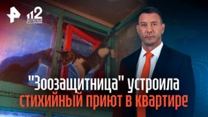 "Зоозащитница" устроила стихийный приют в квартире