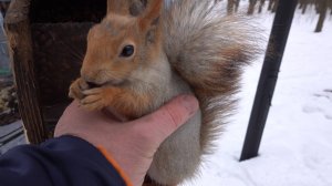 Немного о Копии Копии