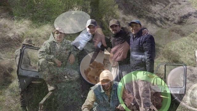 Электропастух 2023 смотреть онлайн