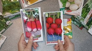 Планы на посадку/Обзор моих семян/А что сажаете Вы?