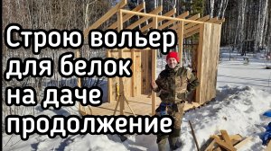 Вольер загон для белок своими руками