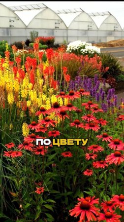Ч.2🌿✨Этим Секретом Пользуются Все Ландшафтники