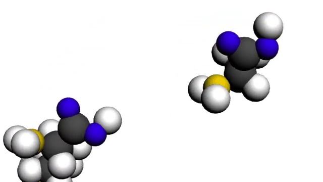 peptide bond