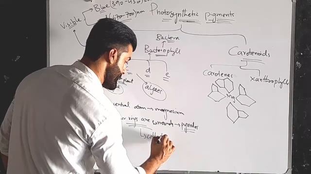 Class 11 Chapter 4 - Photosynthetic pigments || Chlorophylls || Carotenoids by Tariq Pathan