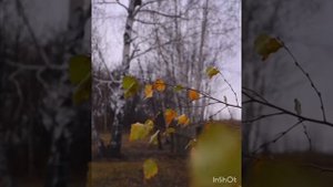 Мы привыкаем.mp4