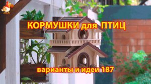 Кормушка для птиц своими руками как сделать пошагово  (187) 🪚🪛🔨 Идеи для дачи и сада❣️