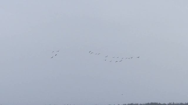 Заход на посадку 2. смотреть онлайн