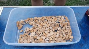 Куриные крылышки горячего копчения в домашних условиях