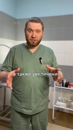 Собаки испытывают большой СТРЕСС