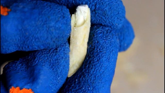 Вся правда о фаст фуде смотреть онлайн