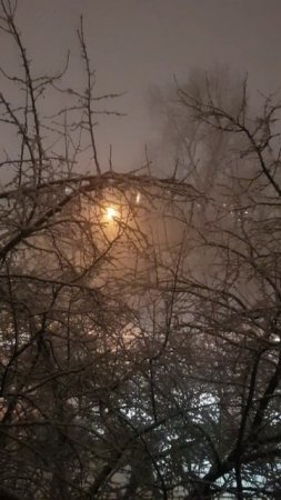 Что у меня за окном?, часть 1