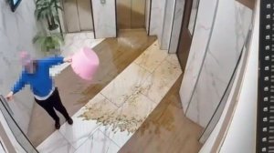 В Москве женщина постоянно выливает тазик с говном прямо перед лифтами в жилом доме