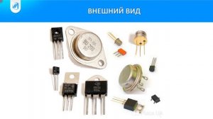 Язык электрических схем_Занятие 7_Транзисторы