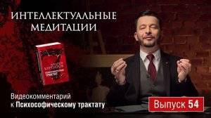 Интеллектуальные медитации. Видеокомментарий к Психософическому трактату: выпуск 54