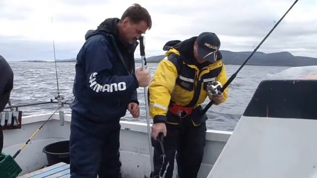 Зубатка похожая на собаку 2.MP4 смотреть онлайн