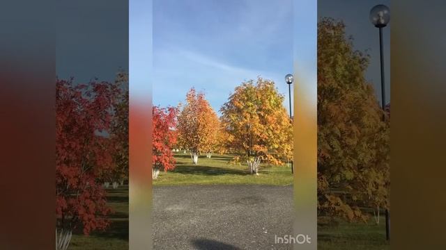 Рябиновый бульвар  unawheel