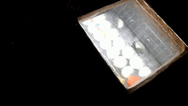 Вывелись цыплята. смотреть онлайн