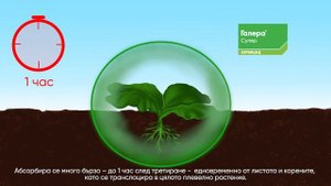 Галера™ Супер от Corteva Agriscience™