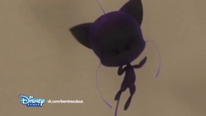 Леди Баг и Супер Кот песня "Чудо вокруг"