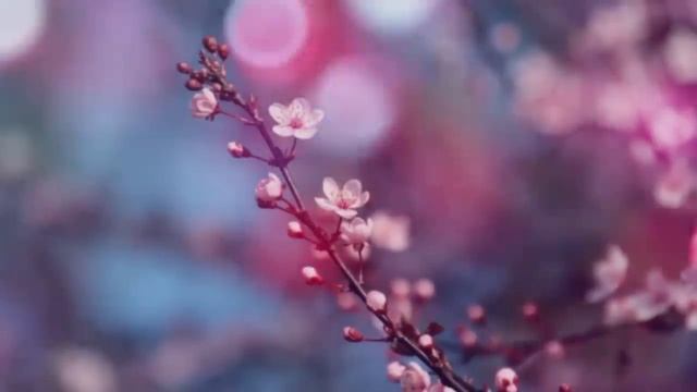 9 марта: Канун Новолуния смотреть онлайн