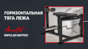 Проработка мышц спины и плечевого пояса с Дмитрием Яшанькиным Impulse HSP7051