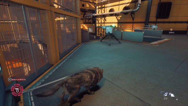 Werewolf #10