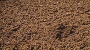 Делаем закладки мицелия на даче осенью - Овощи