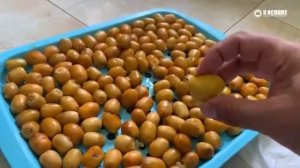 Как кушать финики по Сунне_/Ринат Абу Мухаммад.