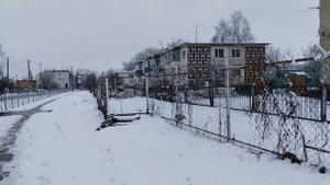 вышли на прогулку в деревне, выпал снег, жизнь в деревне
