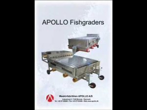 Видео работы сортировочной машины для рыбы APOLLO, Дания