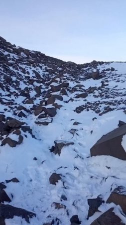 Учебная Стрельба с пневматической винтовки МР 61С
