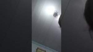 прив