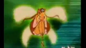 Winx Enchantix(cascada remix)2
