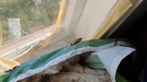 Пошёл процесс строительства второго этажа!