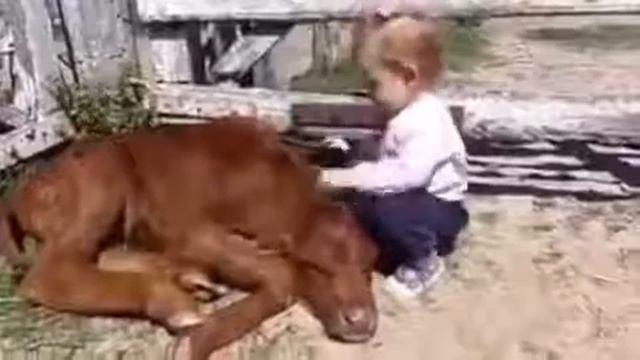 Ц1оьнтрар Ц1онтро; как же богат детский мир в милости всему творений, как же сердце богато милостью смотреть онлайн