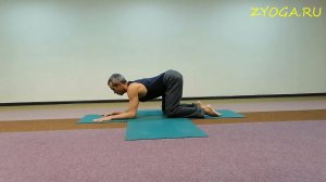 Разминка плеч стоя на коленях (3 мин) / Shoulders warm-up on knees (3 min)