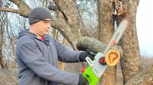 Распил старой яблони без шума и дыма