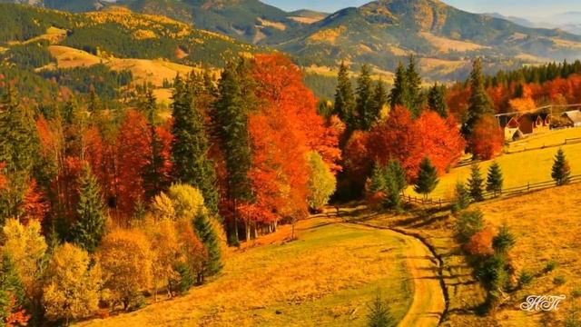 Пакует лето чемоданы смотреть онлайн