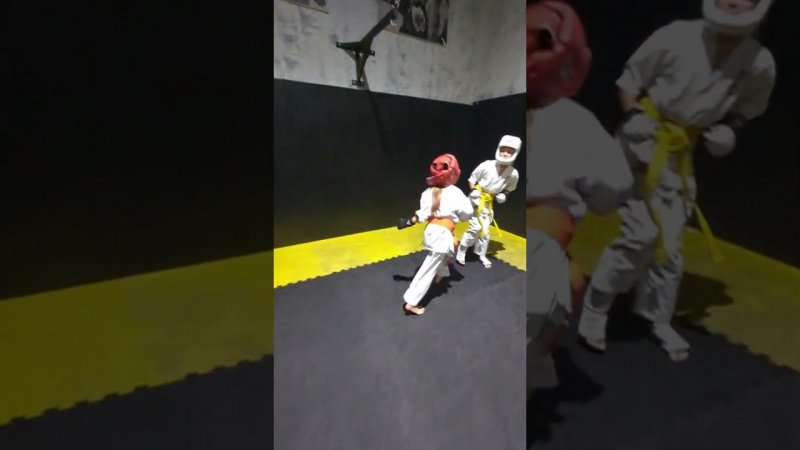 Kyokushinkai karate is number one!