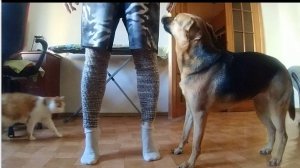 Профилактические упражнения для стоп при сахарном диабете 2 типа.